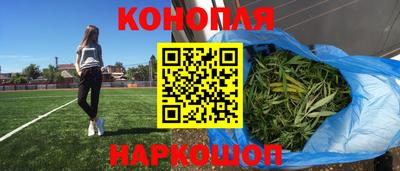 сатива Коммунар