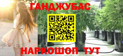сатива Коммунар