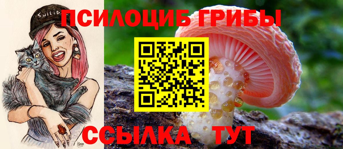 Галлюциногенные грибы мицелий Казань