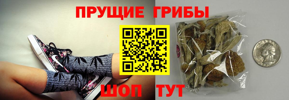 Казань  Псилоцибиновые грибы прущие грибы  Вход с VPN 